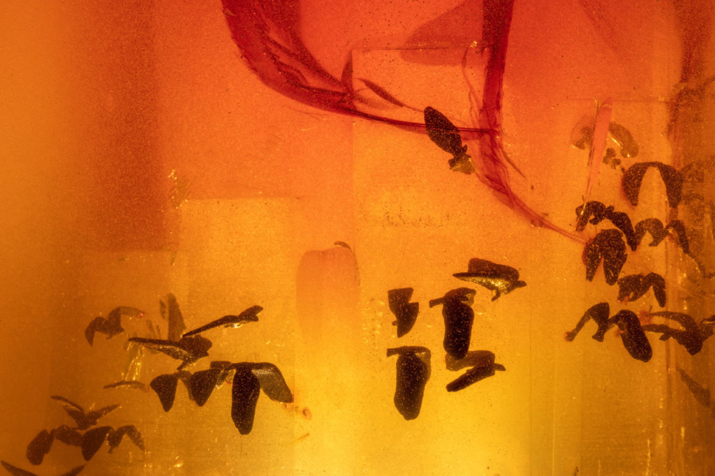 TRACES art installation situated on the Canada Pavilion site at Expo 2020 Duba