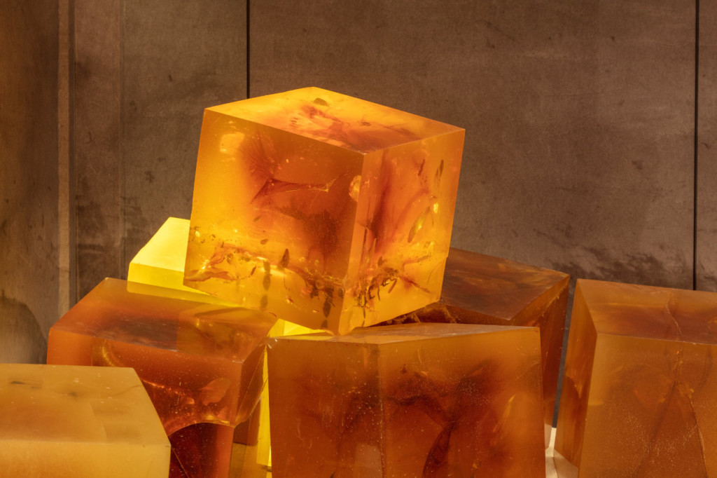 TRACES art installation situated on the Canada Pavilion site at Expo 2020 Duba