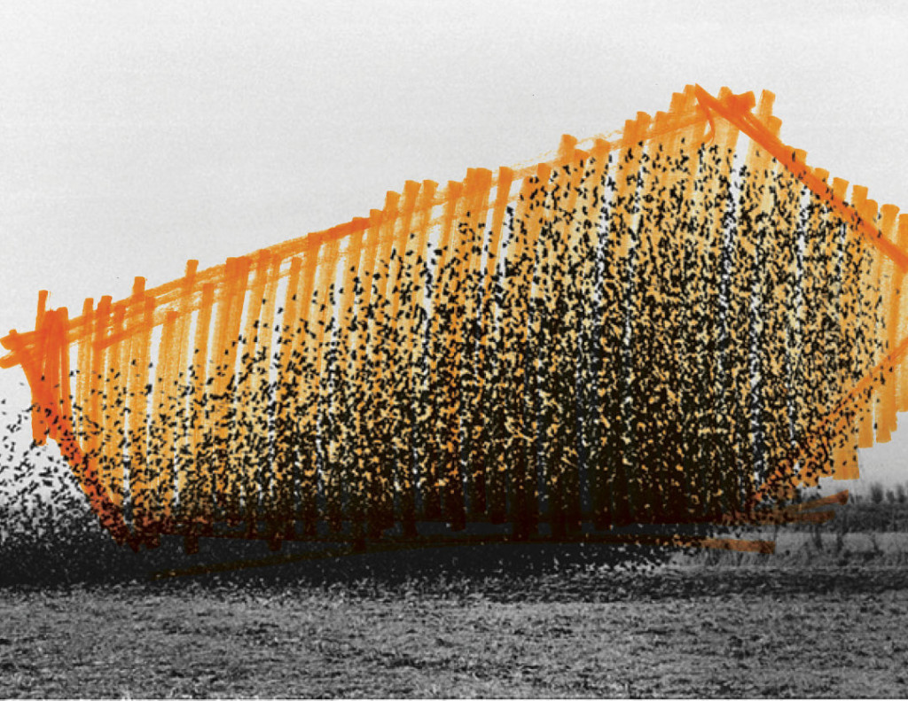 TRACES art installation situated on the Canada Pavilion site at Expo 2020 Duba