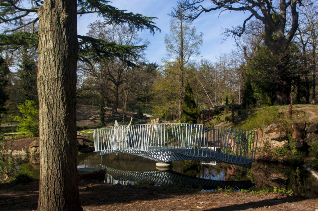 Swing Bridge by Tonkin Liu