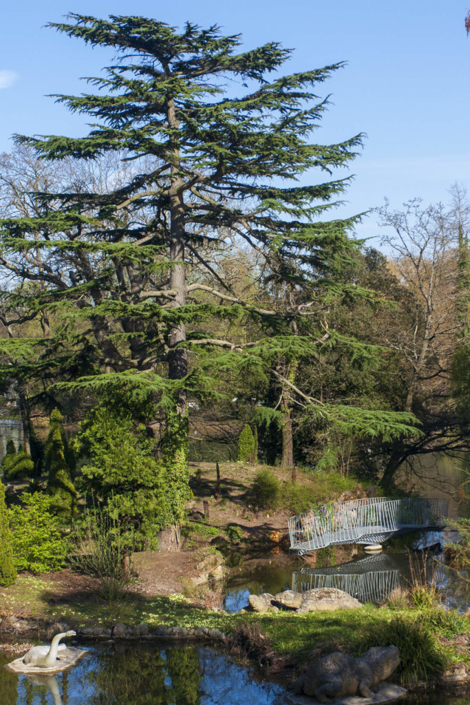 Swing Bridge by Tonkin Liu