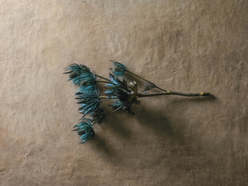 Affrescati by Ceramiche Refin 