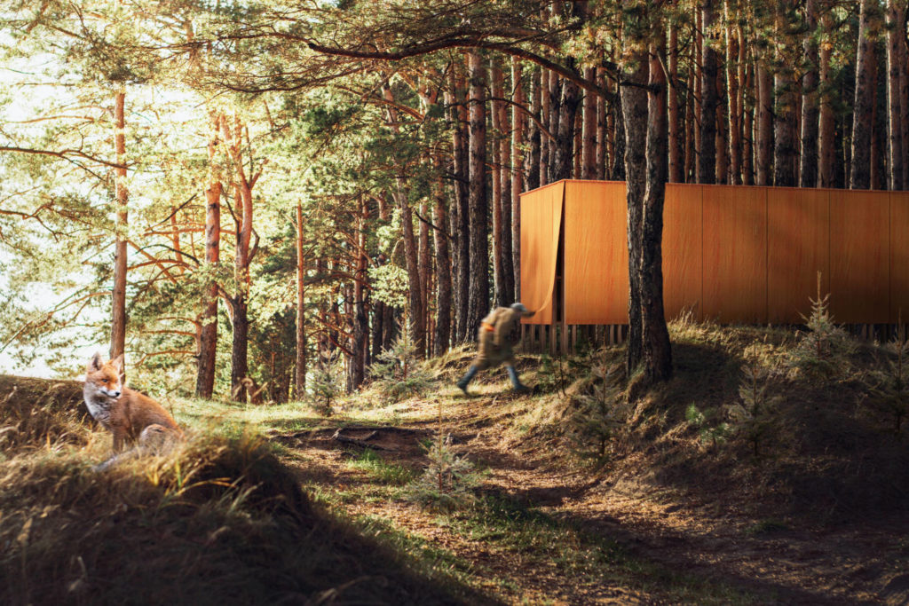 Forêt finie, espace infini?