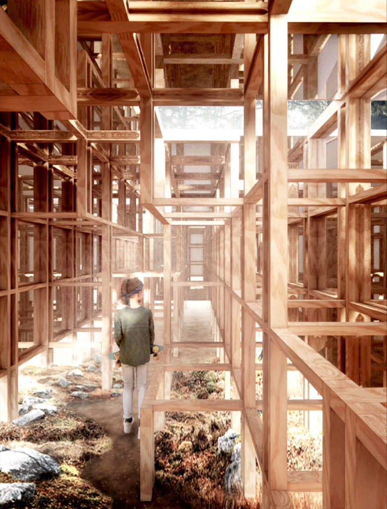 Forêt finie, espace infini?