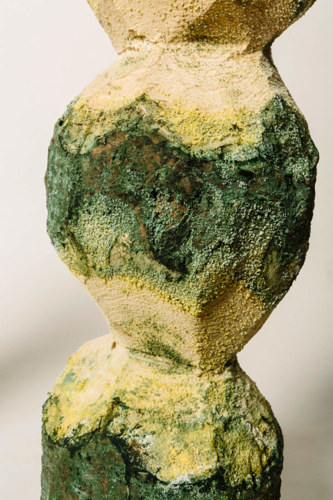 Andrea Shin Ling - Calculus of an Infinite Rot (detail shot)