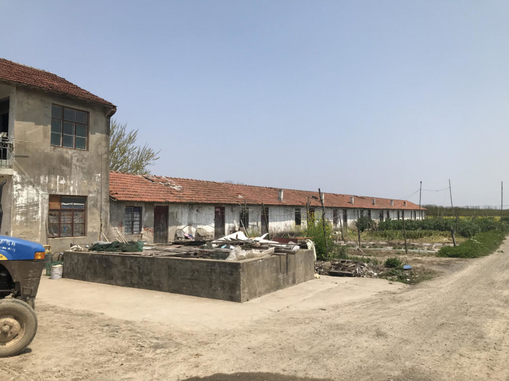 Golden Barnyard: Cockaigne of Everyman by Wutopia Lab