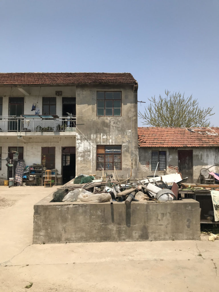 Golden Barnyard: Cockaigne of Everyman by Wutopia Lab