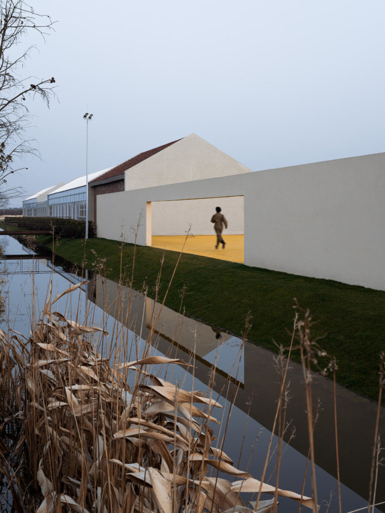 Golden Barnyard: Cockaigne of Everyman by Wutopia Lab