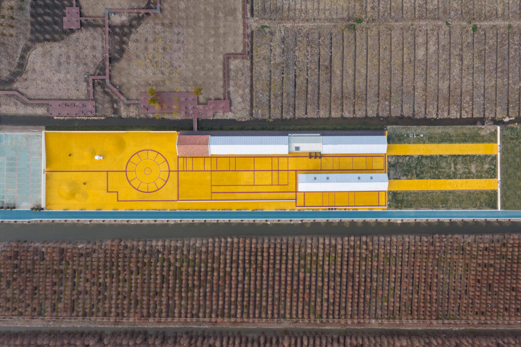 Golden Barnyard: Cockaigne of Everyman by Wutopia Lab