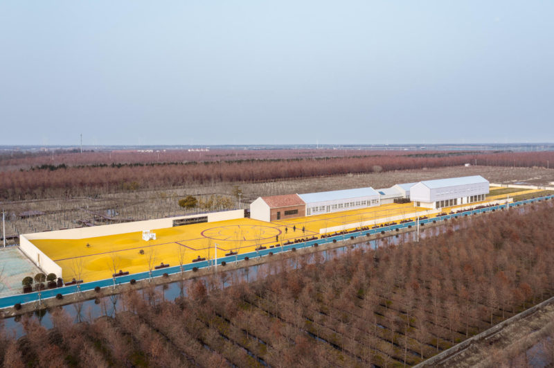 Golden Barnyard: Cockaigne of Everyman by Wutopia Lab