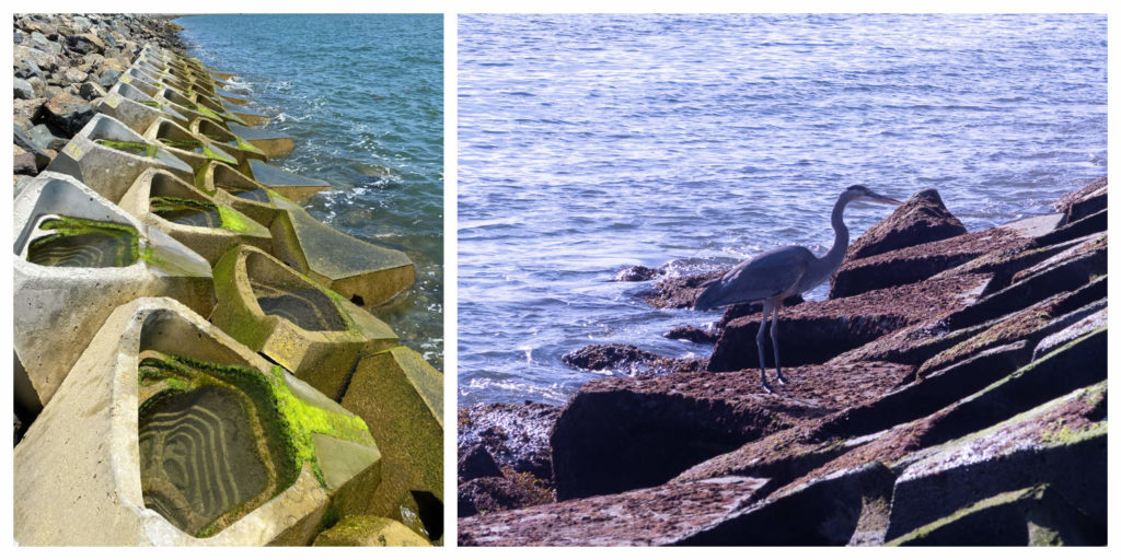 Coastalock - ECOncrete Tech Ltd