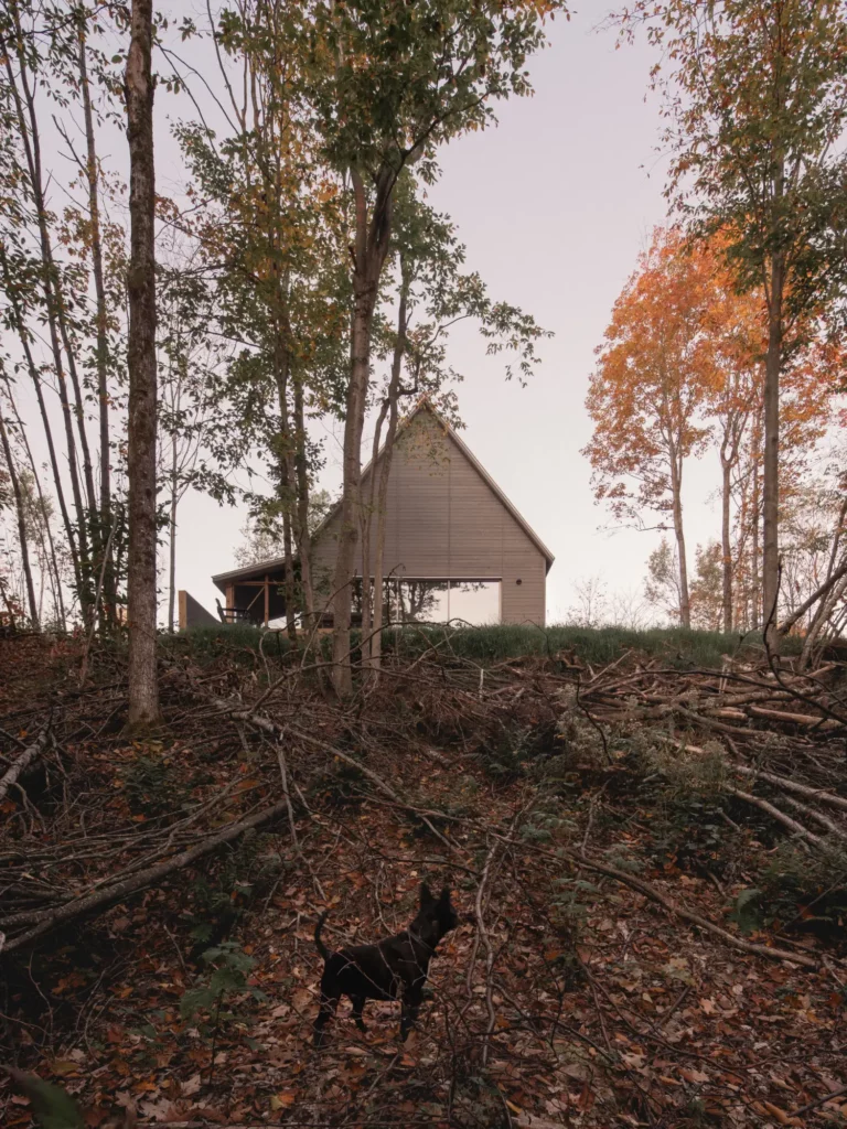Kanata Cabin: A Mont-Tremblant Retreat for Dog-Lovers