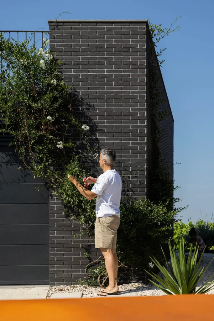 The House of the Cork Oak