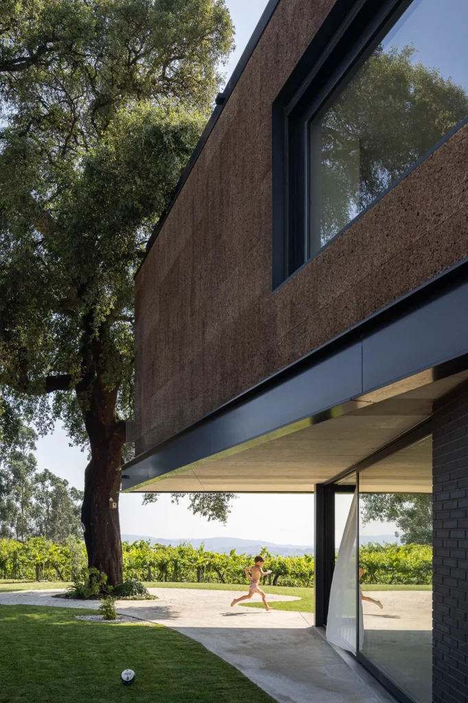 The House of the Cork Oak