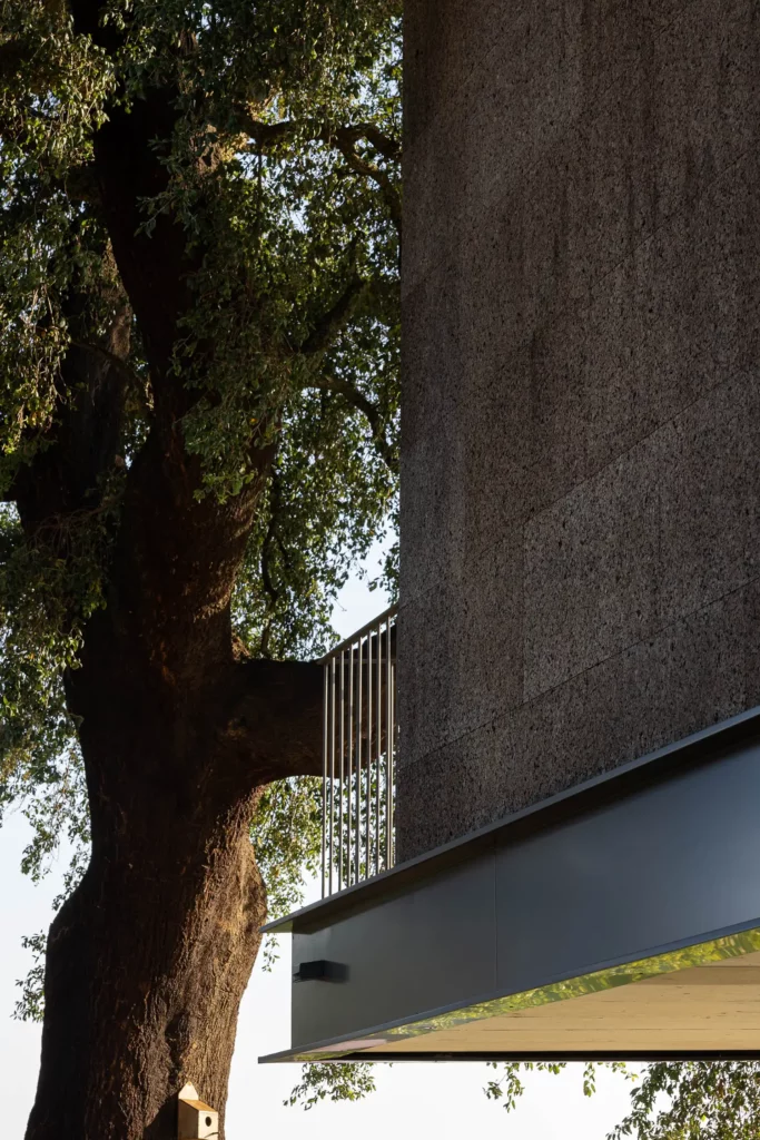 The House of the Cork Oak