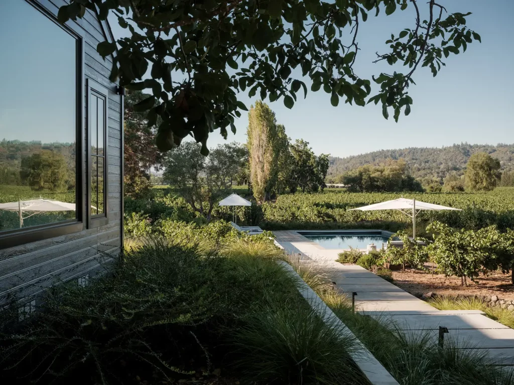 View of the pool from the main property, showcasing the purposeful new site lines.