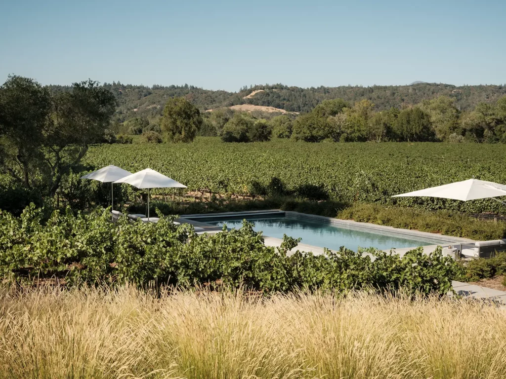 The colors of the landscape design complement the serene pool waters and surrounding wine groves.